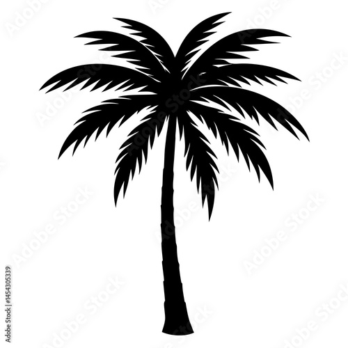 Tropical palm tree vector silhouette. Hand-drawn vector illustration.