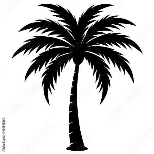 Tropical palm tree vector silhouette. Hand-drawn vector illustration.