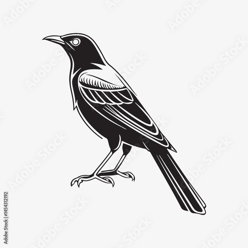 american robin silhouette black vector