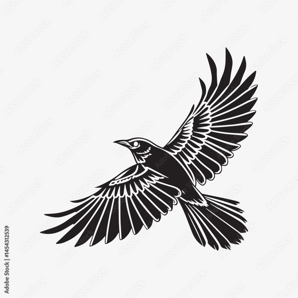 Obraz premium american robin silhouette black vector