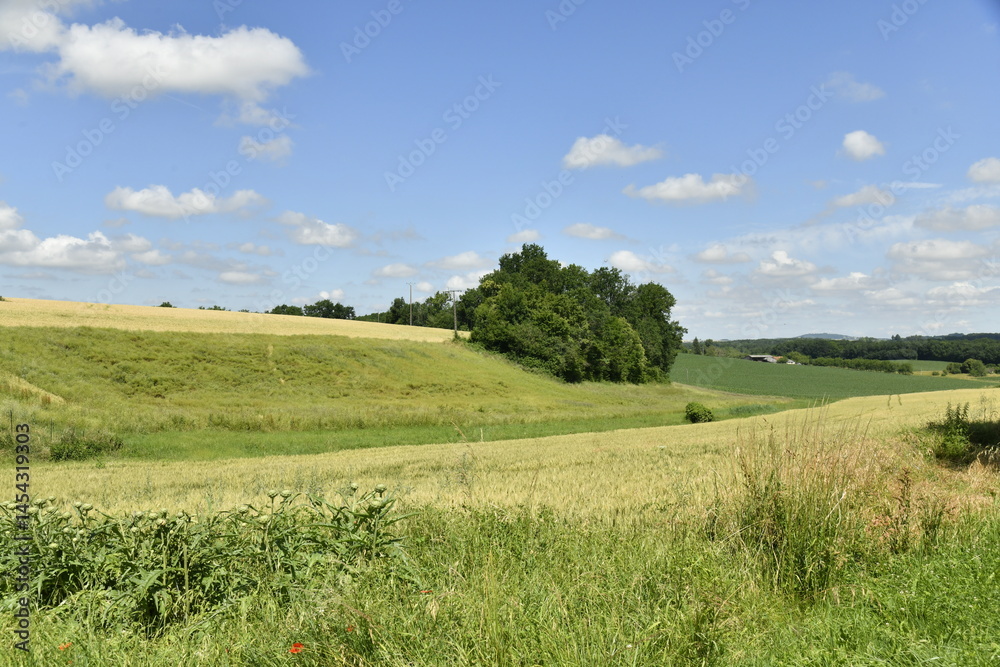 Fototapeta premium Paysage rural sous des cumulus de beau temps près du bourg de Vendoire au Périgord Vert 
