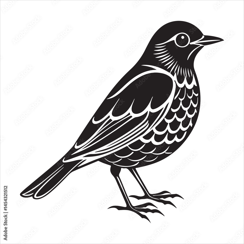 Obraz premium american robin silhouette black vector