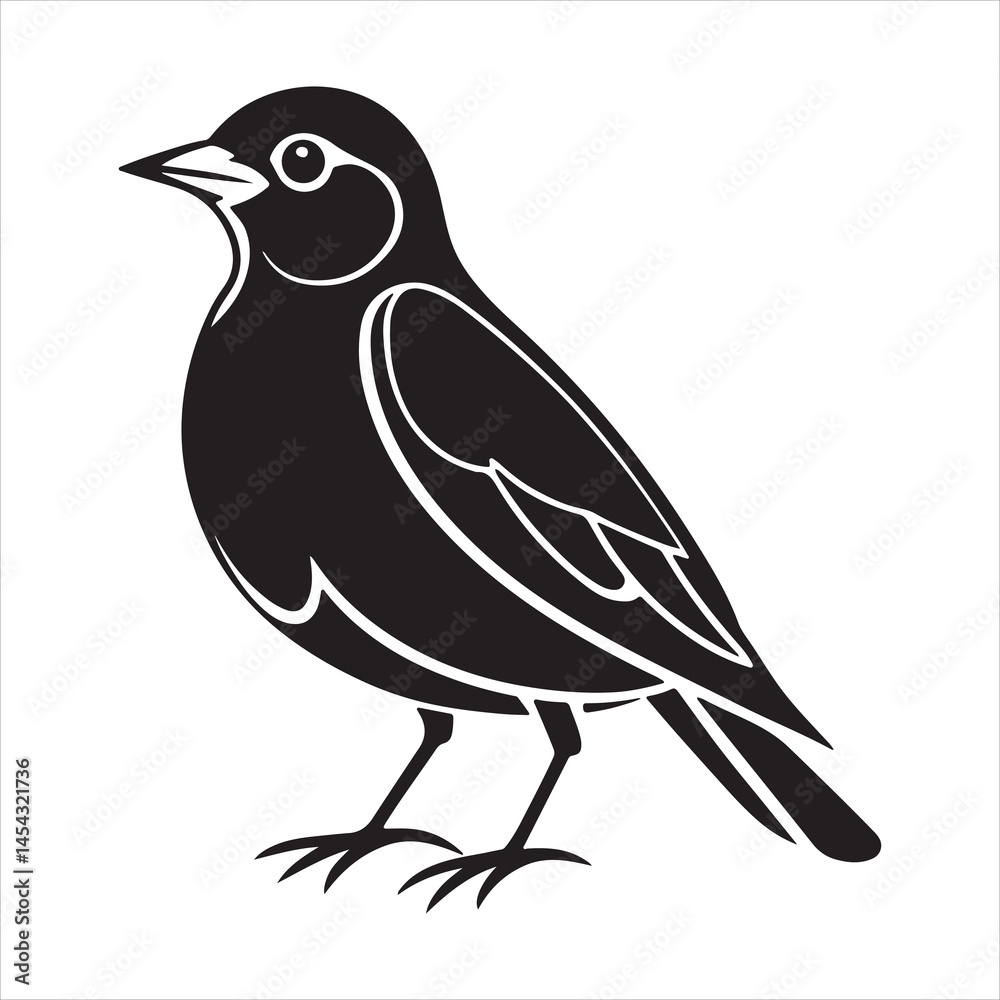 Obraz premium american robin silhouette black vector
