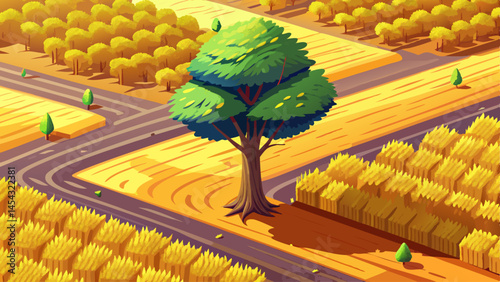 Aerial view of a single tree breaking the monotony of a harvested wheat field