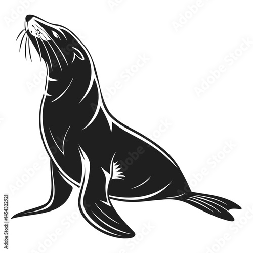 Sea lion vector illustration, marine mammal drawing, wildlife animal clipart, seal silhouette graphic design element isolated on transparent background