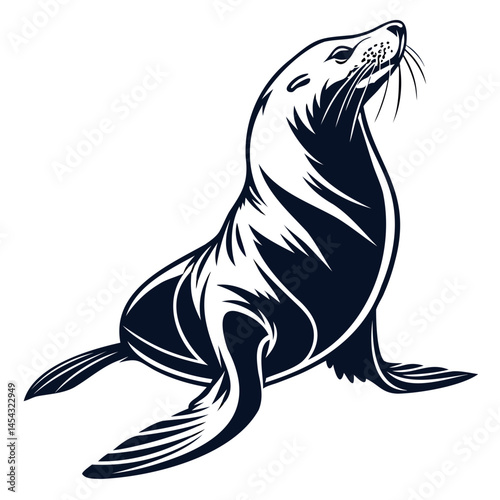 Detailed vector illustration of a sea lion mammal marine animal wildlife ocean aquatic creature design art isolated on transparent background