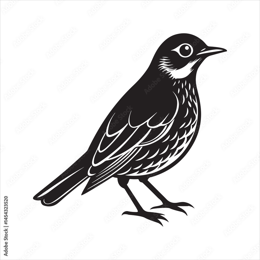 Obraz premium american robin silhouette black vector