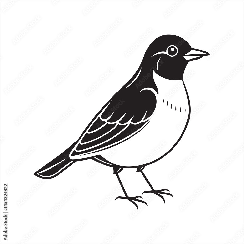 Obraz premium american robin silhouette black vector