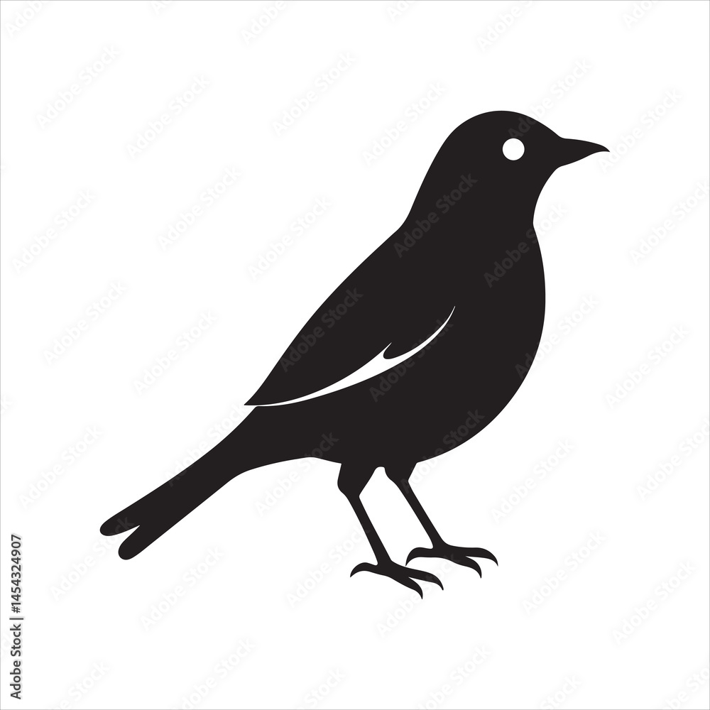 Obraz premium american robin silhouette black vector