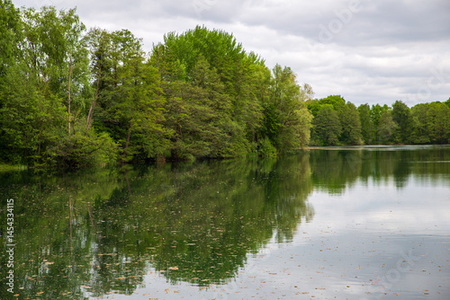 pond with trees