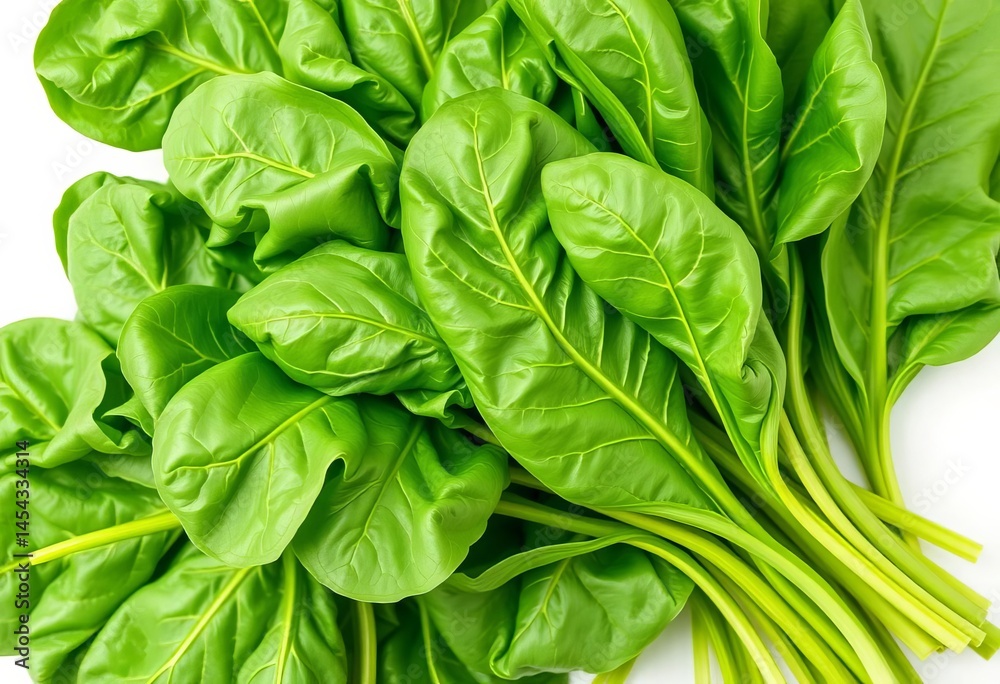 Fototapeta premium Vibrant green spinach leaves, freshly picked, isolated on pure white, still life, background