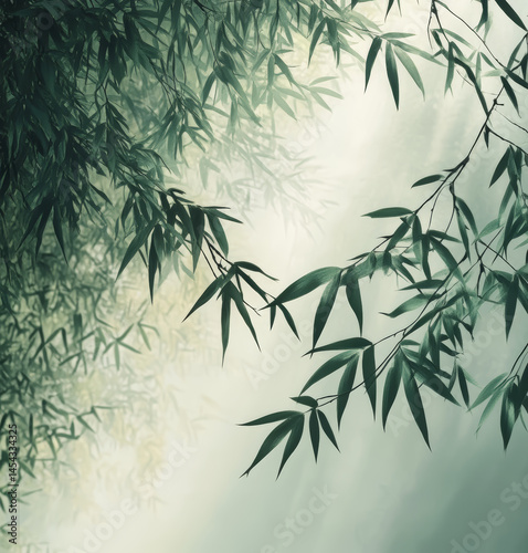 Bamboo leaves on a foggy background