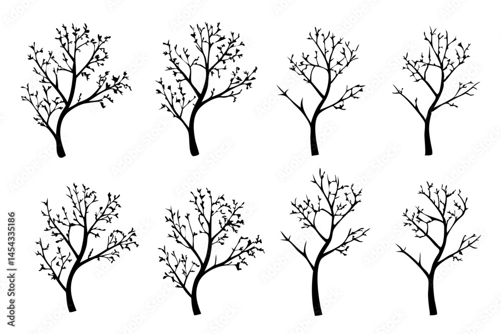 Obraz premium Leafless Black Bare Tree Outline Silhouette vector Illustration
