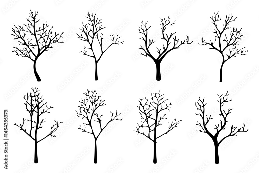 Obraz premium Bare Tree Silhouette on White Background