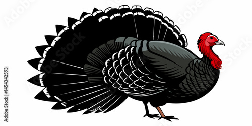 Majestic Black Turkey with Red Head and Tail Feathers Displayed