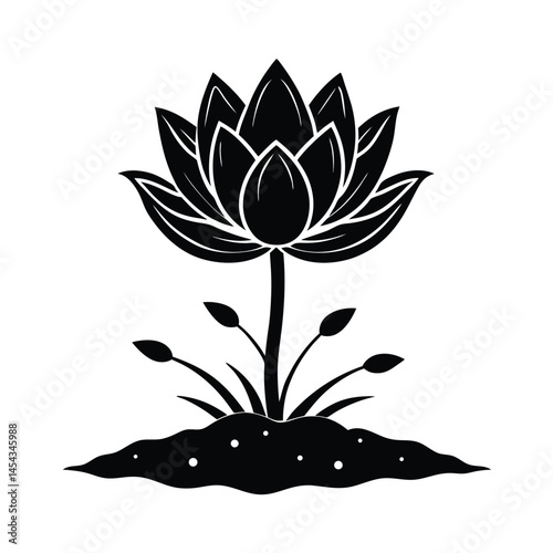 lotus blooming from mud