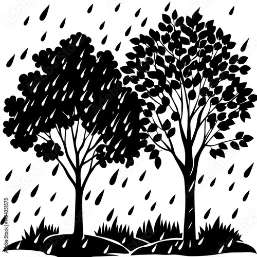 Rainforest rain Tree Silhouette Isolated on transparent background
