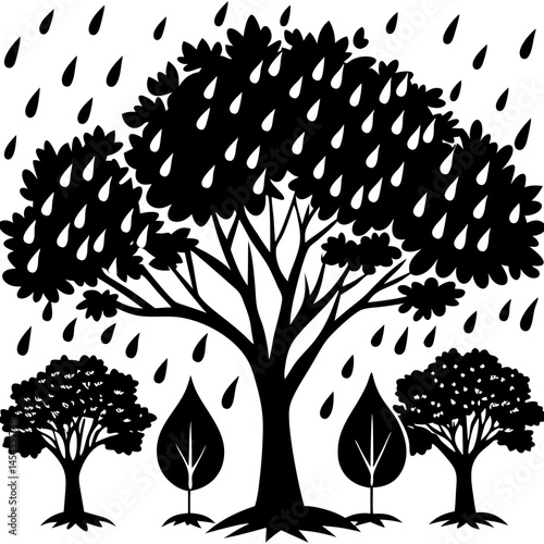 Rainforest rain Tree Silhouette Isolated on transparent background
