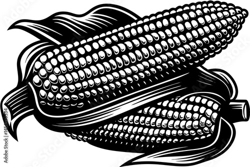 corn on a white background