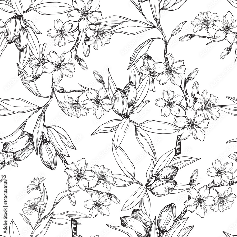 Almond vector seamless pattern hand drawn with ink. Black and white nuts, flowers, branches and leaves. Template for food and drink label design and textile decoration Almond vector seamless pattern hand drawn with ink. Black and white nuts, flowers, branches and leaves. Template for food and drink label design and textile decoration