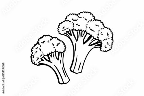 cauliflower isolated on black
