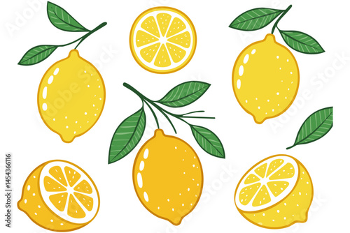 Lemons fruits on branches with leaves and slices vector illustration set. Clipart of summer italian transiterranean citrus fruits on isolated background. For packaging design and ingredients.