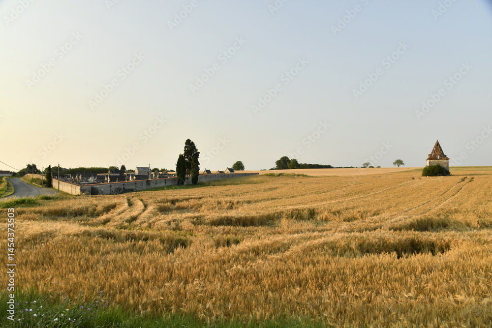 Fototapeta premium Champ de blé sous la lumière du coucher de soleil près du bourg de Champagne au Périgord Vert 