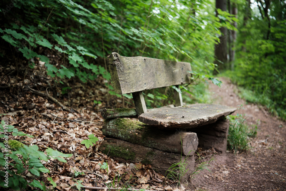 A Rustic Wooden Bench Nestled and Surrounded by Beautiful Lush Greenery and Nature