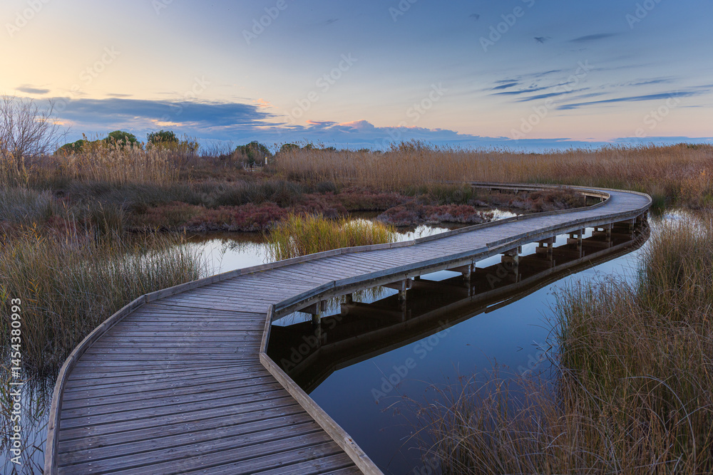 Naklejka premium One of the paths in Marjal de los Moro