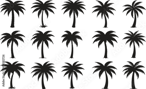 set of palm trees