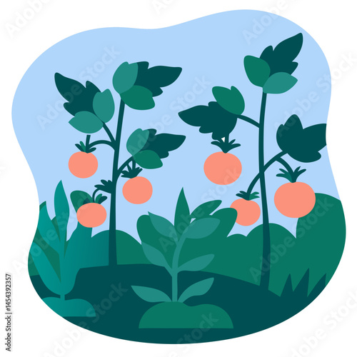 Tomato plants growing in a stylized garden illustration  