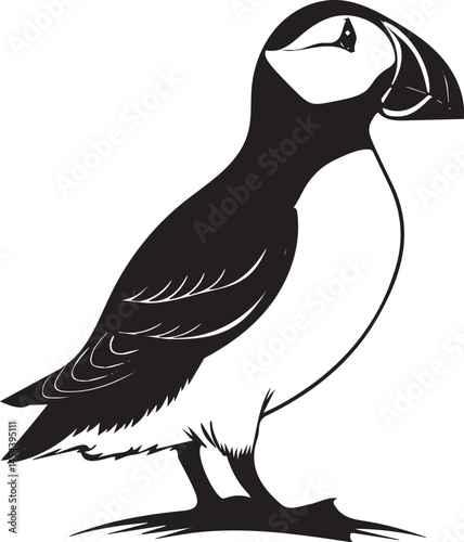 Atlantik puffin bird silhouette vector style with white background..