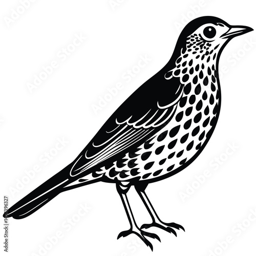 Elegant Bird Illustration: A refined artistic rendition of an avian beauty, showcasing intricate feather patterns and graceful posture, capturing the essence of avian elegance.