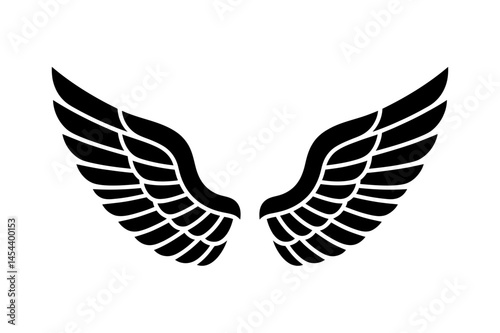 Wings vector illustration angel wings bird wings