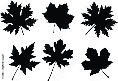 set of autumn leaves silhouette vector