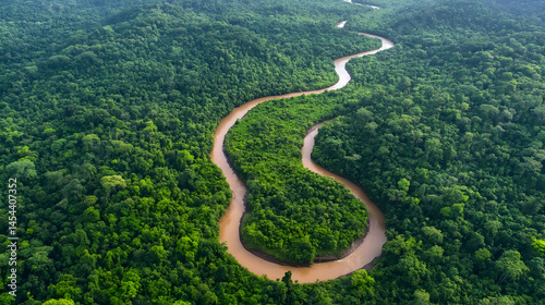 Serpentine River Meandering Through Lush Amazonian Rainforest Canopy
