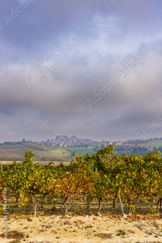 Typical vineyard near Cascina Montalbera and Montemagno Monferrato, Castagnole Monferrato, Piedmont, Italy