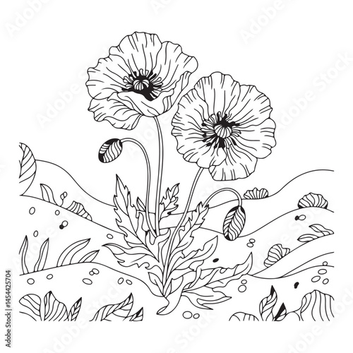 Detailed Black and White Poppy Meadow Botanical Line Drawing