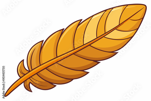 feather isolated on white background
