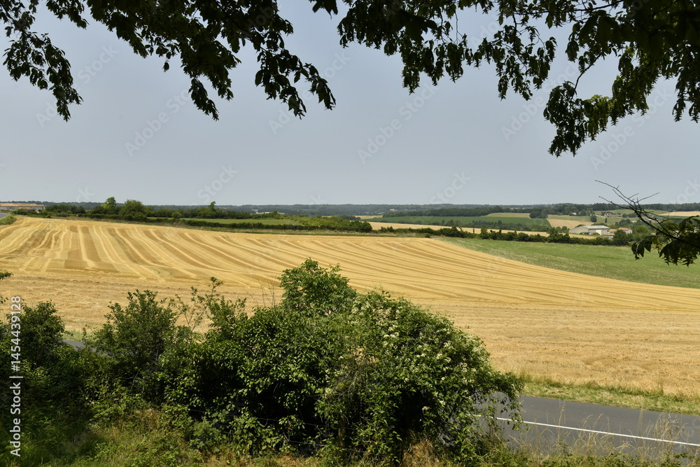 Fototapeta premium Lignes dans un champ de blé après moisson au pied de la colline du château médiéval à Villebois-Lavalette en Charente 