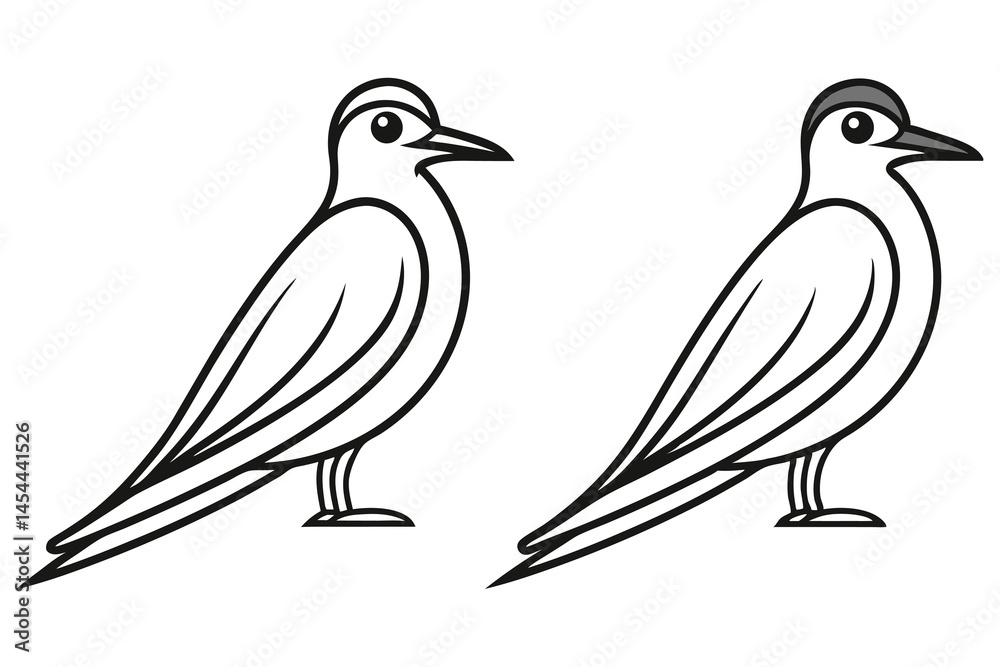 Two seabirds stand in outline style on a white background looking serene and peaceful Two seabirds stand in outline style on a white background looking serene and peaceful