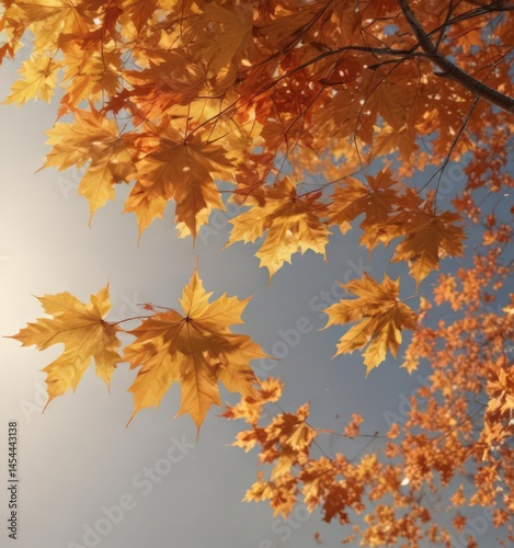 Sunlit maple leaves scattered, ample copy space, woodland, gold