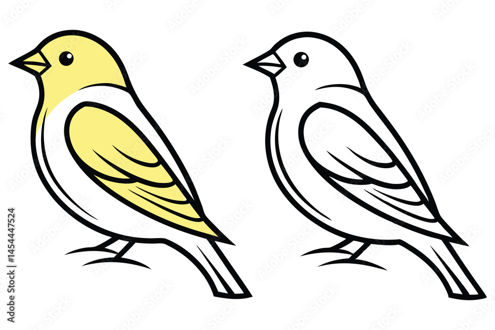 Fototapeta premium Standing canary features one version in yellow color and one is black and white