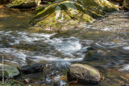 willard brook  flowing through the wilderness