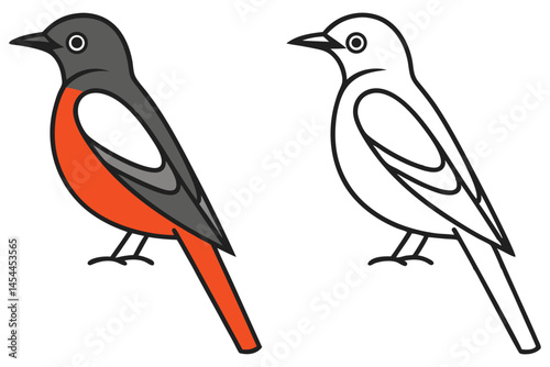 Rufous sided towhee bird stands with outline drawing, showcasing orange and black plumage against white