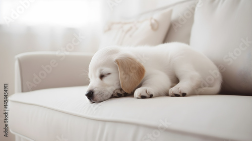 A white and brown puppy sleeping on a white couch with a white pillow in the background.