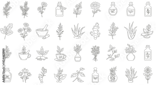 Detailed Line Art of Herbs Flowers and Apothecary Elements