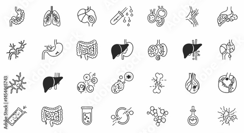 Human Internal Organs and Medical Elements Line Art Icon Set