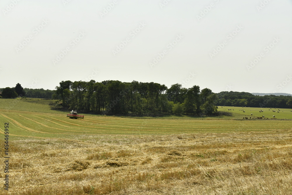 Fototapeta premium Moisson autour d'un bois près de Villebois-Lavalette en Charente 