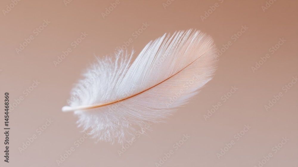 Obraz premium solitary floating feather against soft neutral background symbolizes hidden lightness and surrender